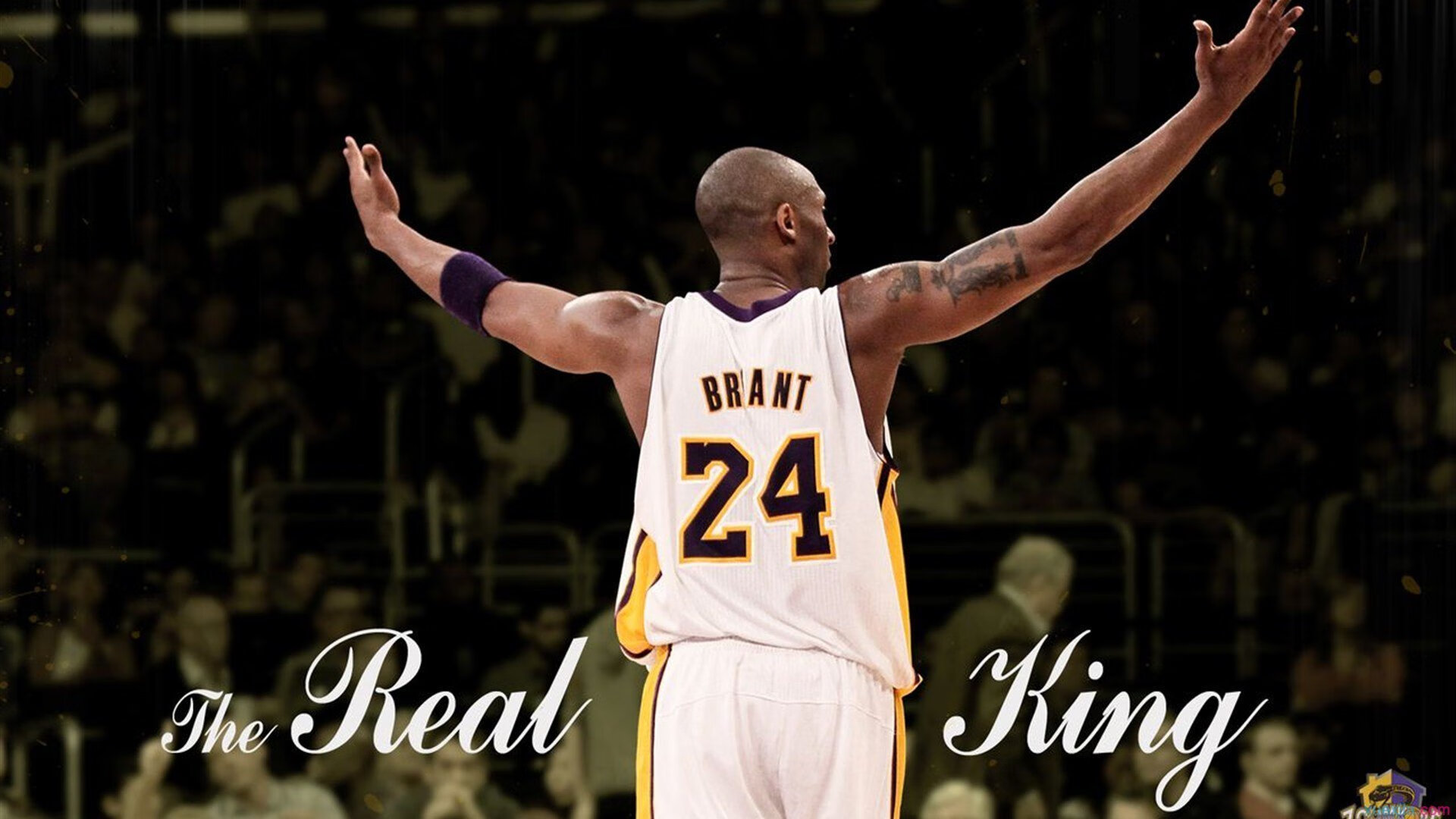 同一夜的双重奏，独行侠的团队金钟罩与约基奇的个人万花筒