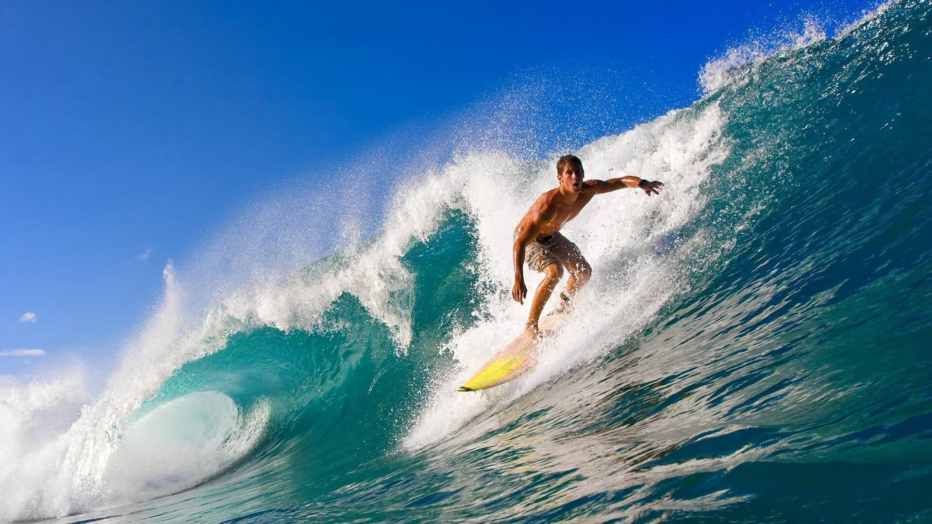 开云体育-逆转与统治,胜利棱镜中的两束光